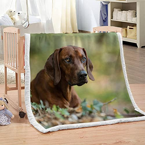 Hund Haustiere Kuscheldecke Flanell Mikrofaser 3D Kuscheldecke Erwachsener 150x200 cm Rhodesian Ridgeback Leichte Winter Warme TV Decke Wohndecke Flanell Decke Fleecedecke Sofadecke Bettüberwurf