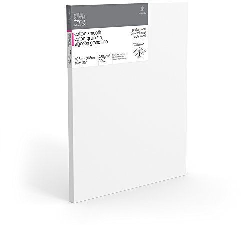 Winsor & Newton 16 x 20-Inch Professional Cotton Smooth Canvas (Pack of 5)