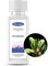 Florage 100ml Saunaaufguss FICHTENNADEL - 50 Jahre Erfahrung als deutsche Duftmanufaktur, hochergiebiges Aufgussmittel für die Sauna, viele Aufguss Düfte, vegan und ohne Tierversuche, auch als Set