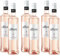 allure Pink Pinot Grigio feinherb