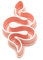 Snake Cookie Cutter 01 Fondant Cake Decorating (4 inches)