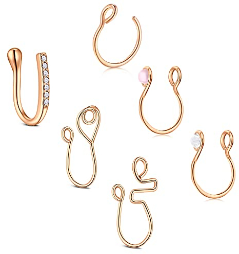 D.Bella 6 STK Nasenpiercing Fakes Ring Fake Nasenpiercing Nasenring Set Septum Fake Chirurgenstahl Minimalismus Nasenring Nase Schmuck