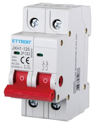 Interruttore Sezionatore 25A 40A 63A, 2P 240VAC, Montaggio Su Guida DIN, Occupa 2 Moduli (63A)