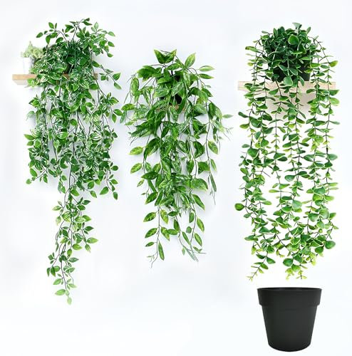 Probuk 3 Stück Kunstpflanze Hängend, 80cm Künstliche Hängepflanze, Künstliche Pflanzen mit Töpfen, Eukalyptus Blätter Hängepflanze Künstlich mit Topf Rebe, Innen Außenbereich, Wand Regaldekoration