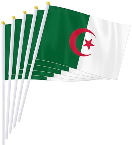 PTEROSAUR Lot de 50 drapeaux algériens à main, 14 x 21 cm, petits drapeaux nationaux algériens, pays africains du monde à agiter à la main (50)