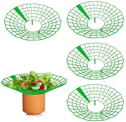LUMOOM 4 supporti per fragole, supporto per fragole con protezione per lumache, fragole per piante di fragole, torre per piante a spirale di erbe, supporto per pomodori e fragole, protezione per
