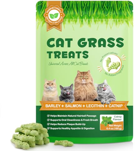 MXCZBSM Friandises Herbe à Chat & Cataire 180g – Biscuits Croquants au Saumon – Anti-Boules de Poils, Digestion & Soin Dentaire – Naturels, sans Arômes Artificiels – pour Chats Sensibles