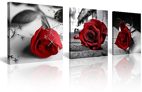 Nan Wind Leinwand Rose Rot Print 3 PCS Schwarz und Weiß Kunst Abstrakt Art Wand Dekorationen Flower Bild auf für Home Decor Geschenk zum Valentinstag gespannt gerahmt 30,5 x 30,5 cm