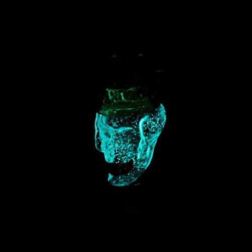 THE HOOKAH - Shisha Universal Molassefänger 2-Teilig Glas 18/8 Schliff Dead King WOODOO Skull Totenkopf aus Borosilikatglas Wasserpfeife Zubehör für besten Durchzug und Sauberkeit