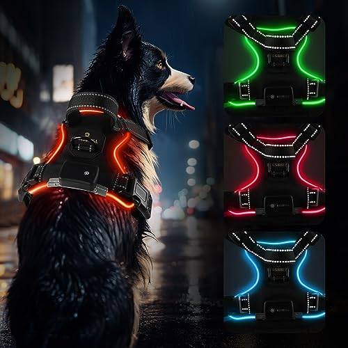 MASBRILL Hundegeschirr Leuchtend Aufladbar, LED Hundegeschirr Verstellbar Reflektierend mit Griff, Weich Gepolstert Beleuchtete Brustgeschirr für Kleine, Mittlere Große Hunde Leucht Geschirr(Rot XL)