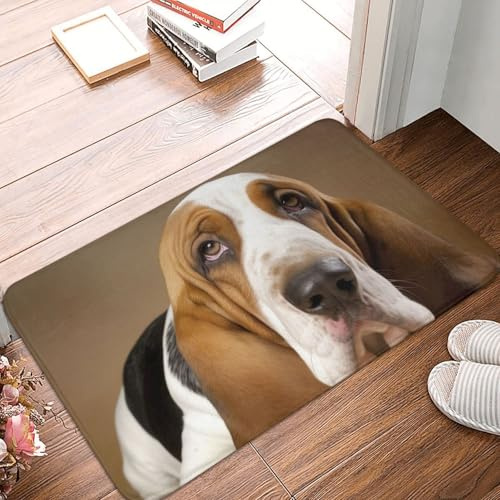 Basset Hound Door Mat Indoor Outdoor Doormat Non-Slip Entryway Mat Absorbent Mud Trapper Mats Heavy Duty Welcome Mat Washable Flannel Bath Mat Small Carpet 16 X 24 in