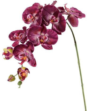 artplants.de Kunststoff Phalaenopsis Orchidee WESA, dunkelviolett-weiß, 100cm - Künstlicher Orchideenzweig