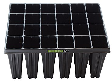 GREEN24 Baumschulen Platte Topfplatte Anzuchtplatte QP 24T16 BTP mit 24 Pflanztöpfen für Gehölze, Koniferen, Tiefwurzler, Platte 28x36cm (24 eckíge Töpfe BxLxH 55x60x160 mm)