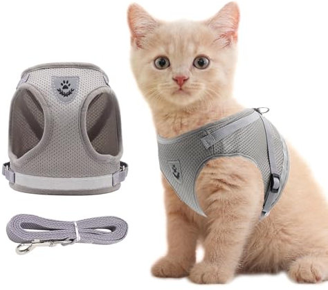 Anlitent Soft Mesh No Pull Cat Harness and Lead Set for Walking, Escape Proof Kitten Vest Harnesses for Small Dogs/Cats/Animals Rabbit, Cool Cat Dog Collar with Leash (Grey, Medium)