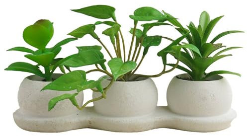Airbirhom Artificial Succulents Plants Set,Faux Succulents in Pots,Assorted Small Succulent Artificial Indoor Decor for Desk,Shelf,Home,Office,Bathroom,Living Room