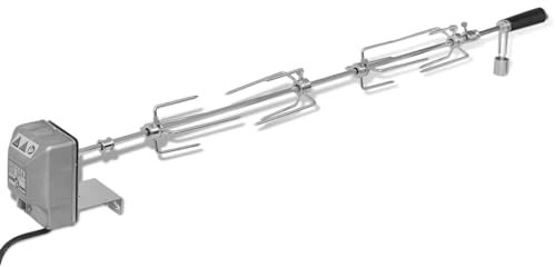 Tidyard Broche à rôtir avec Moteur 1000 mm Acier Style B