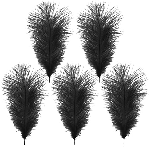 WedDecor Black Natural Ostrich Feathers 14-16 Inch (35-40cm), Pack of 5 | Craft Feathers for Wedding Centerpieces, Home, Decorating Costumes, Embellishment, Art & Craft, Parties