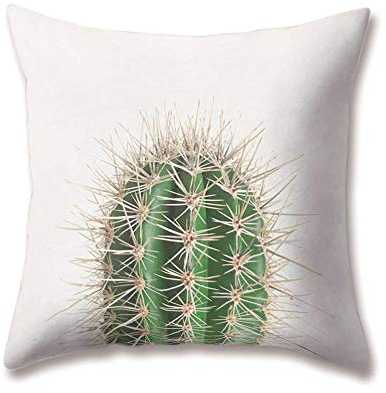 Hengjiang Weich Plüsch Grün Kissen Nordic Einfachen Stil Sukkulente Kaktus Druck 18 x 18/45 x 45 cm Überwurf Weicher, Einfarbiger Kissen für Home Sofa Bett Deko, Polyester, 12, 45 cm*45 cm