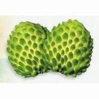 50 teile/beutel bunten clematis samen, echte seltene clematis pflanzensamen, Bonsai clematis lampen draht lotus pflanze, 11