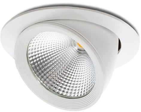 Foco Downlight LED 30W 3000Lm 6000ºK Orientable UGR17 50.000H [JW-30W-G-CW] | Greenice