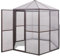 Aluminium Gewächshaus Groß, UV-beständig und frostsicher, Winterfest Tomatenhaus, Begehbarer Anzucht Gewächshaus, Treibhaus für Pflanzen und Blumen, 240 x 211 x 232 cm