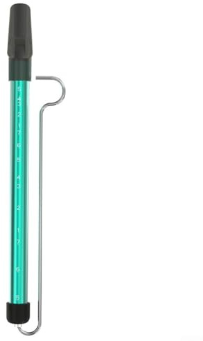Slide Whistle Flöte mit Skala Metall Musikinstrument für Musikerziehung und kreativen Ausdruck (Grün)
