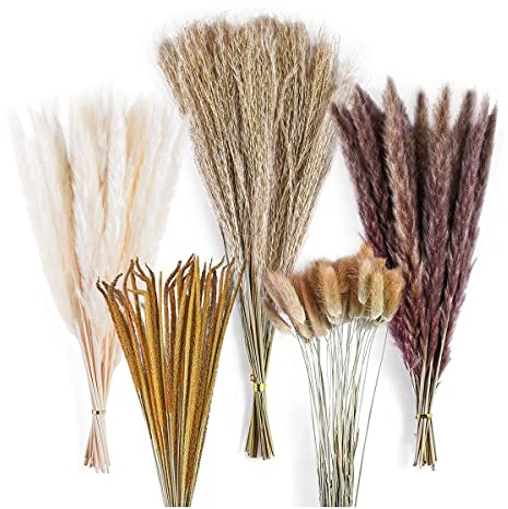 Phyachelo 120 StüCk Getrocknete Pampasgras-Blumenstrauß-Dekoration, Boho-Heimzimmer-Hochzeitsfeier-Arrangements, Herbsttrockene BlumenbüNdel im GroßEn Mengen
