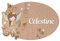 Plaque de Porte Fée Personnalisée. Plaque Chambre Enfant. Plaque Bois Personnalisable Avec Prénom. Décoration Chambre Enfant Magie Originale - 2 perçages en haut, Plexi Blanc