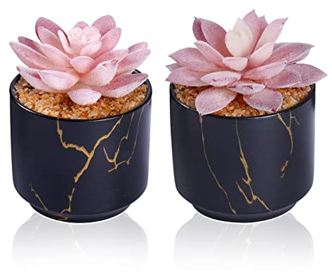 ZENIDA Plantes succulentes artificielles mignonnes dans 2 pots en céramique noire, petites plantes artificielles pour bureau, table, bureau, salle de bain, chambre, décoration esthétique d'étagères de