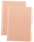 SEWACC 10stücke Teiliges Trennblätter Ordner Farbige Index-tabs Material Für Notizbücher Präsentationen Berichte Und Dokumentenorganisation Macarons-design
