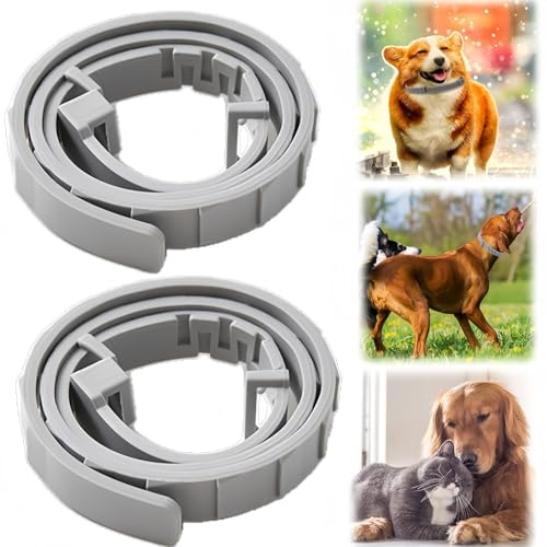 2PCS Dog Col/lar,Adjustable Repellent Col/lars,Flea and Tick Treatment,Long-Lasting Protection and Non-Irritating to Pets,Material Safety,Easily Adjust Size,Waterproof and Suitable for Most,Gray