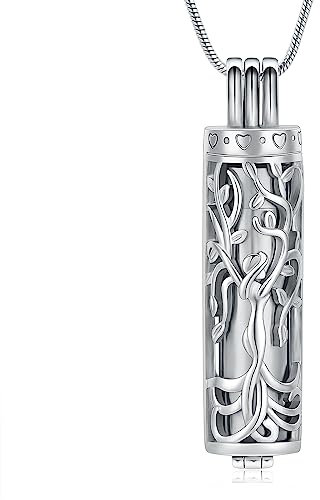 VCCWYQK Cremation Jewelry Urn Necklace for Ashes Pendant with Hollow Glass Vial Cylinder Cremation Keepsake Memorial Lockets Ashes Holder for Women Men Pet (H-1)