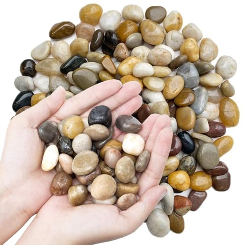 Galets décoratifs de jardin, pierres mélangées pour pots de fleurs, gravier d'aquarium, vases, aménagement paysager (couleur mélangée, 2,7 kg)