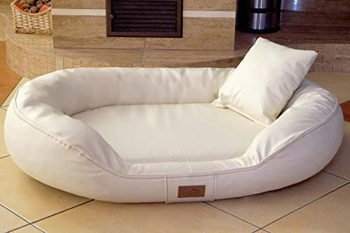 tierlando® Orthopädisches Hundebett Lennart Easy Clean mit Visco-Plus-Matratze und pflegeleichtem Kunstleder-Bezug | Größe: 85x65cm | Farbe: 05 Creme