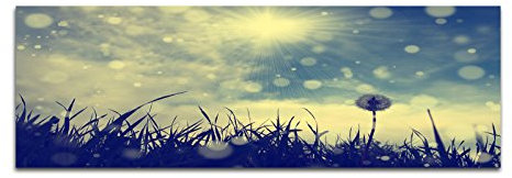 Paul Sinus Art Panoramabild auf Leinwand und Keilrahmen 150x50cm Wiese Pusteblume Sonne Wolken Vintage