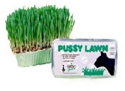 Pussy Lawn Natural Indoor Grass