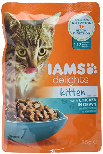 IAMS Delights Kitten Nassfutter - Multipack Katzenfutter mit Huhn in Gelee, hochwertiges Futter für Junior Kätzchen von 1-12 Monate, 12 x 85 g
