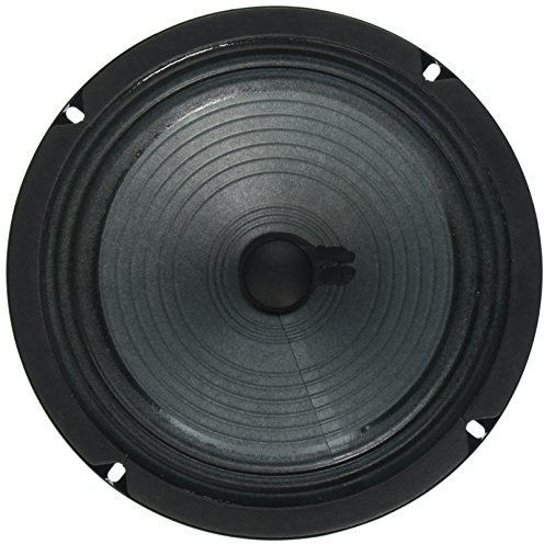 Jensen Altavoz, Verde, 8 Pulgadas (P8R8)