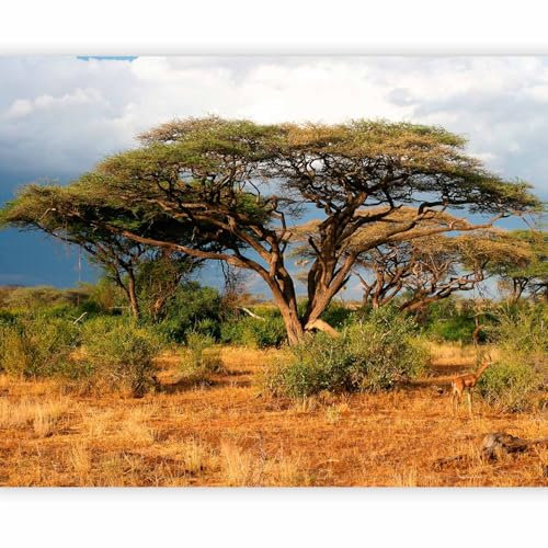 Papier peint murando panoramique moderne 400x309 cm - Revêtement mural décoration pour chambre salon - Design moderne - Jaune vert gris marron - Afrique arbres paysage savane 100403-206