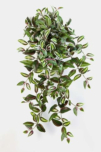 artplants.de Kunst Tradescantia Zebrina Pancho, grün-lila, 70cm | 260 Blätter - Zimmerpflanze künstlich - Dekopflanze