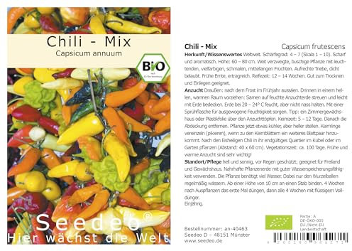 Seedeo® Chili - Mix (Capsicum annuum) 30 Samen BIO