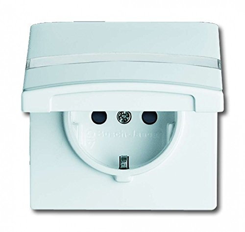 Busch-Jaeger 20EUGKBN-32-101 Steckdose Mit Klappdeckel Und Beschriftungsfeld