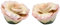 StealStreet ss-cg-20731 2,5 Rosa de Rosa Pintado Flores salero y pimentero Set