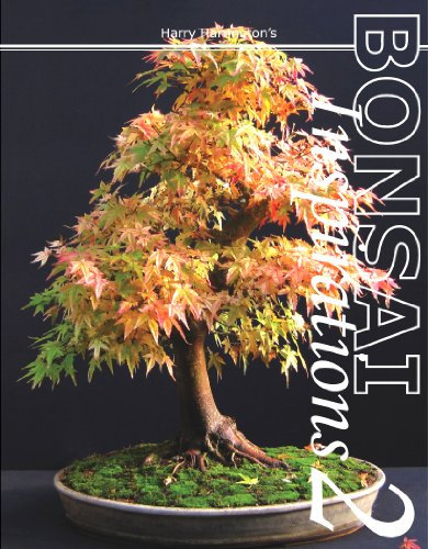 Harry Harrington's Bonsai Inspirations 2 (English Edition)