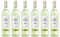 Gallo Family Vineyards Pinot Grigio Halbtrocken (6 x 0.75 l)