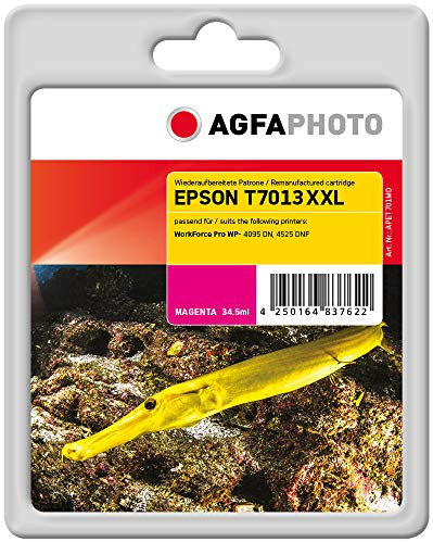 AgfaPhoto APET701MD Remanufactured Tintenpatronen Pack of 1, 18.9 x 12.1 x 4.9, Magenta, Rot