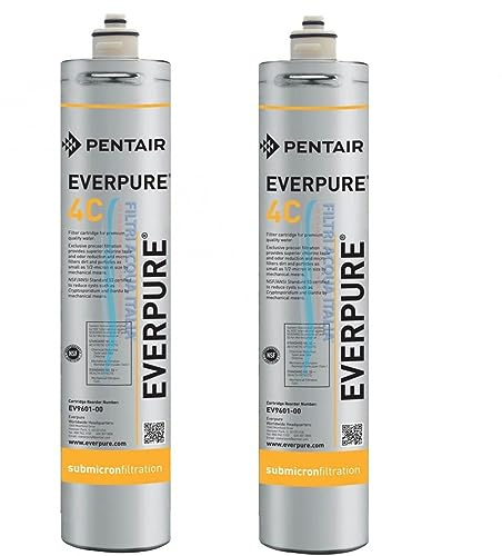 Everpure - Filtre Eau Potable - Lot de 2 Unites - Reduction du Chlore, des Saveurs et Odeurs, Filtration Particules jusqu' 1/2 Microns