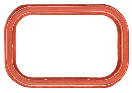 AJUSA 13169800 Ansaugkrümmer-Dichtung Kompatibel mit FIAT Ducato Kastenwagen 250, 290, CITROËN JUMPER Kasten, FORD Transit Custom V362 Kastenwagen FY, FZ RANGER TKE, PEUGEOT BOXER Kasten