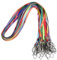 Wisdompro Schlüsselband Lang 30 Stück, Schlüsselbänder mit Fahnenstange Clip, Lanyard für Ausweise, Schlüssel (10 Farben)