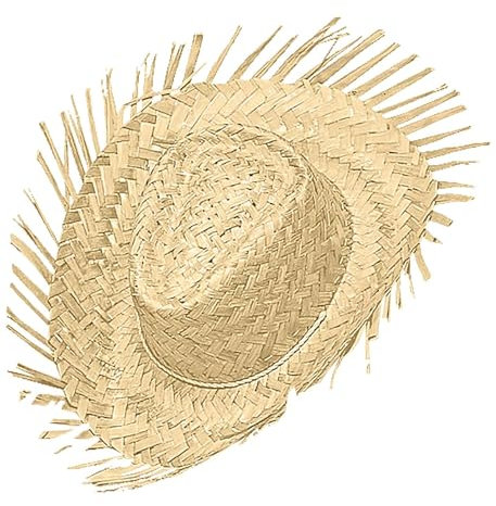WIDMANN 29581 - Chapeau Gringo en paille, adulte unisexe, hawaïen, fêtes d'été, carnaval, fêtes à thème, Taille Unique, Couleur Paille